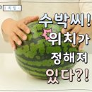 수박의 계절 여름.. 수박씨 쉽게 발라 먹는 방법 🍉 이미지