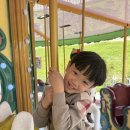 소풍가든 이미지