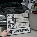 라이온모터스 이미지