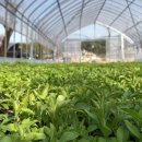 박종필농장 이미지