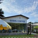 전가네손짜장 | 경주 숲뷰 대형 카페 :: <소디스커피> 주말 방문후기