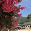 전북 고창 투어(3일차)::법성포굴비정식 + 선선할때 꼭 다시 가고픈 선운산(선운사) + 바지락죽 맛집