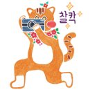 갈냉쌈강릉