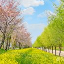 사단법인 장애인미래에너지창조연합회 | GK 그룹 박찬보 회장의 인생 철학과 인생 봄 여름 가을 겨울