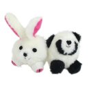 펫메이트 이미지