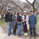 대명마을회관 이미지