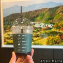 [여주 원더클럽 신라cc] 코스 상태 좋은 퍼블릭 골프장 _ 동코스 후기
