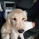 안정쇼핑로 이미지