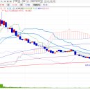 세아약품 이미지