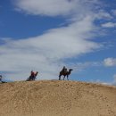 (주)행복한여행 이미지