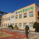 꽃숲유치원 이미지