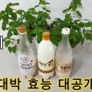 막걸리비료 초간단 제조법 놀라운 효능! / 주부나라 동영상 외 다른 동영상 2개 이미지