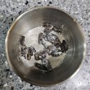 귀뚜라미 - 영도구 청학로 68-2 | 냉동귀뚜라미 사용 후기｜크레세오 크레스티드게코 먹이