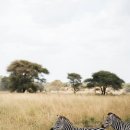 쉽게 배우는 스마트폰 이미지