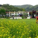 산흥초교 이미지