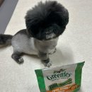 한국덴탈 | 그리니즈 티니 고구마맛 강아지 덴탈껌 급여 후기