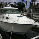 2004 STRIPER 2901WA알래스카 이미지