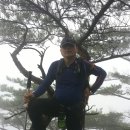 매봉초등학교 이미지