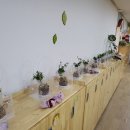 평동초교병설유치원 이미지