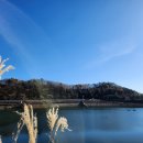 호명호수(제1주차장) 이미지