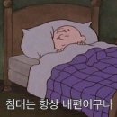 애니멀 라이프 이미지