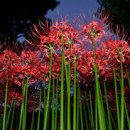 강남테헤란로공인중개사사무소 이미지