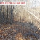 대전리 마을회관 이미지