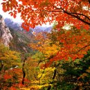 아름다운 사람들 이미지