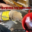 부산횟집 이미지