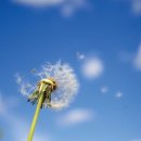 김성수아르코이비인후과의원 이미지