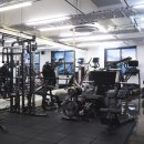 바디 디자인 이미지