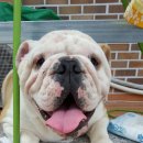 레드메인 이미지