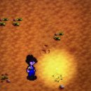 경재 농장 이미지