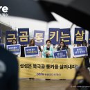 통키통키 서울신문