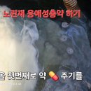 노린재 응애성충하기 이미지