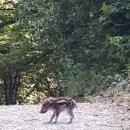 외동마님 이미지