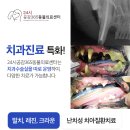자연동물병원 이미지