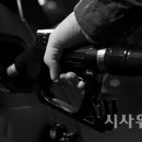 영광주유소 이미지