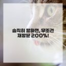 연세란치과의원 이미지