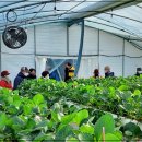 해맞이농장 이미지