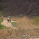 금강변길 이미지