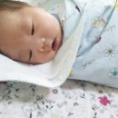 비당국수 이미지