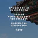 [희망 명언] 성군 세종대왕의 명언 고기만큼 독서 사랑 이미지