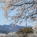 단성생활체육공원 이미지