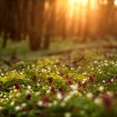 자연과 건강 이미지