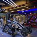 필 휘트니스 이미지