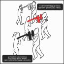 도원결의태권도장 | [성인 태권도?] 여성 수련생에서 아마추어 선수가 되기까지.