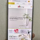 치킨집 술집 호프집 추천 개업식축하화분 배달까지 퍼펙트!