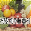 디데이짐 이미지