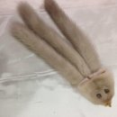 부평모피 이미지